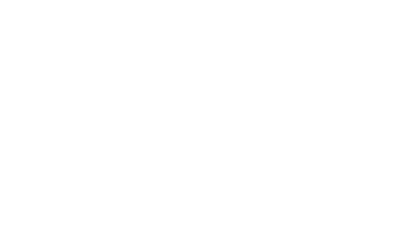 Chic House